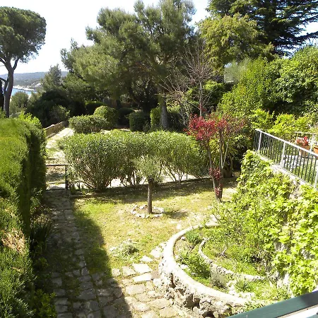 Le Jardin Des Hesperides 卡西斯